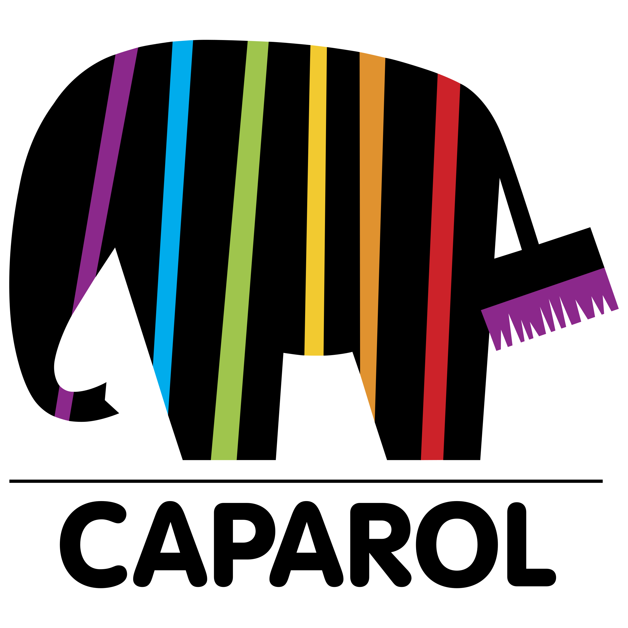Caparol Logo